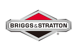 Briggs & stratton - Cooper's Client